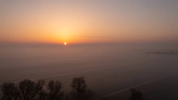 Schöner Sonnenaufgang Über Polderlandschaft Den Niederlanden — Stockfoto