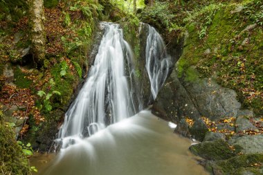 Ormandaki küçük şelale manzarası