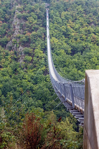 Hngeseilbrucke Geierlay Geierlay Est Pont Suspendu Dans Chaîne Basse Montagne — Photo