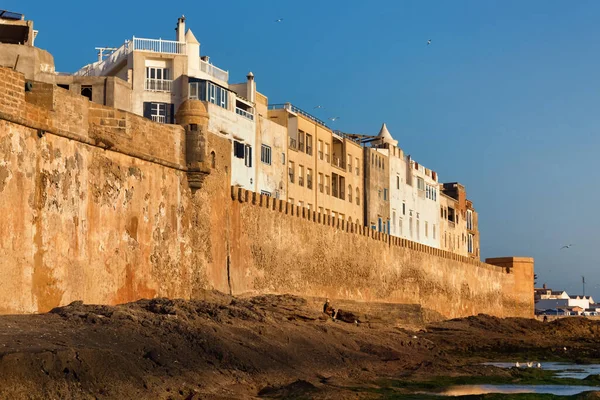 Vista Las Murallas Históricas Fortaleza Essaouira Costa Volcánica Del Océano — Foto de Stock
