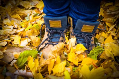 bebek ayakları sonbahar yaprakları