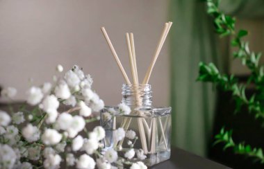 Aroma yayıcı, ev parfümü