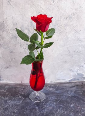 beton bir arka planda vazoda yükseldi