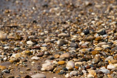 güzel ıslak deniz taşları arka plan