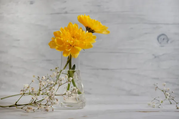 Crisantemo Amarillo Jarrón Vidrio — Foto de Stock