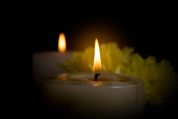 Свічка Квітки Хризантеми Темному Фоні — стокове фото