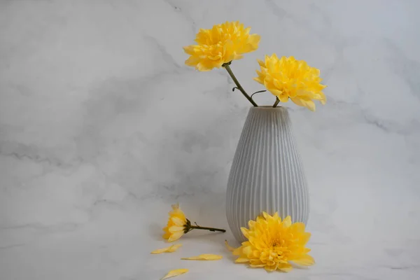 Crisantemo Amarillo Jarrón Sobre Fondo Viejo — Foto de Stock