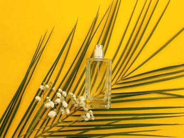 Renkli arka planda bir şişe parfümü çiçeği.