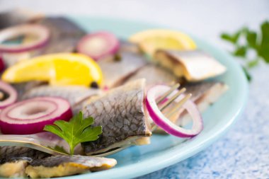 Lezzetli ringa balığı, mavi soğanlı maydanoz porsiyon aperatifi.