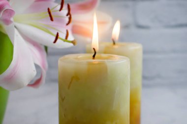 mum yanması, çiçek zambağı arkaplanı