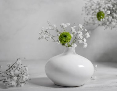 Güzel çiçek kasımpatısı, vazonun içinde hafif bir arka planda çingene.