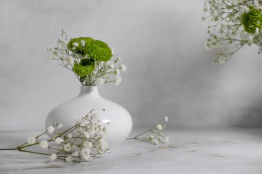 Güzel çiçek kasımpatısı, vazonun içinde hafif bir arka planda çingene.