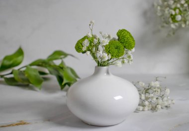 Güzel çiçek kasımpatısı, vazonun içinde hafif bir arka planda çingene.