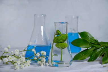 Işık arkaplan üzerinde laboratuvar şişesi çiçeği