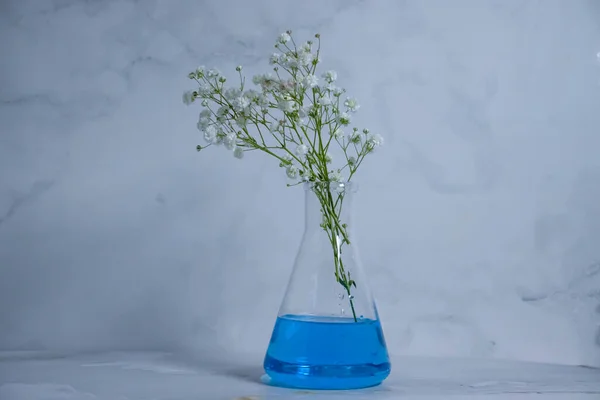 Laboratory Flask Flower Light Background — Stock Photo, Image