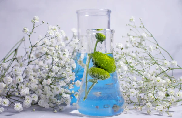 Εργαστηριακή Φιάλη Λουλούδι Ελαφρύ Φόντο — Φωτογραφία Αρχείου
