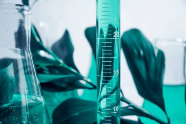 Işık arkaplan üzerinde laboratuvar şişesi çiçeği