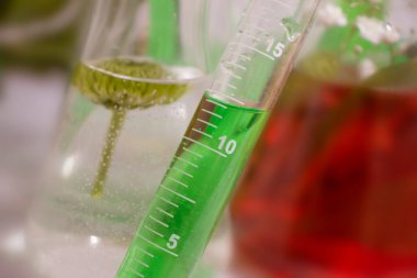 Işık arkaplan üzerinde laboratuvar şişesi çiçeği