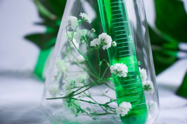 Işık arkaplan üzerinde laboratuvar şişesi çiçeği