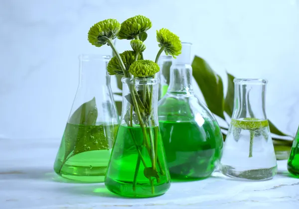 Laboratory Flask Flower Light Background — Stock Photo, Image