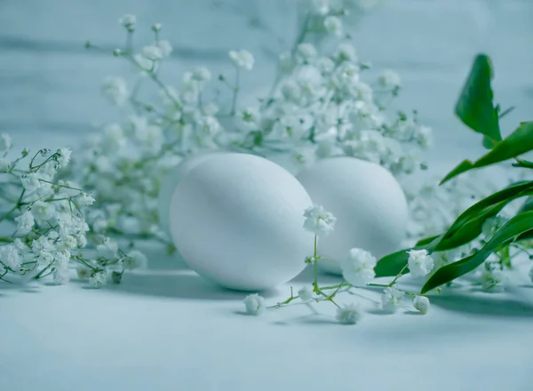 Oeufs Fleur Gypsophile Sur Fond Clair — Photo