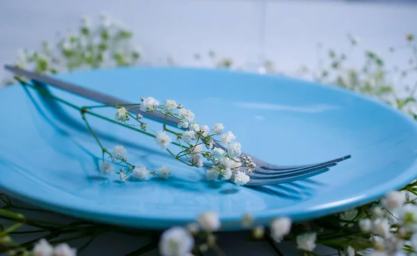 Plate Gypsophila Flower Concrete Background — Stock Photo, Image