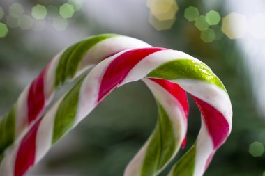 Noel şeker kamışı, dal arkaplan