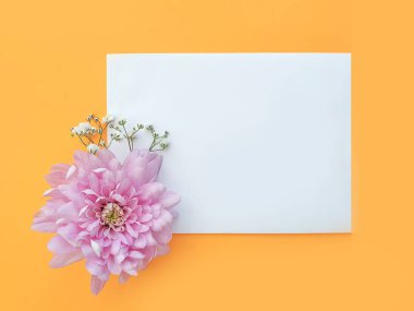 envelope with flowers on a colored background