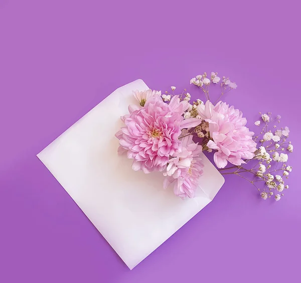 Sobre Con Flores Sobre Fondo Color —  Fotos de Stock