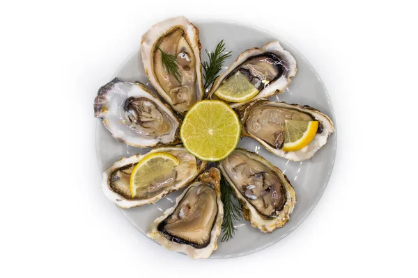 Plate Oysters Lemon Isolated White Background — Stock Photo, Image