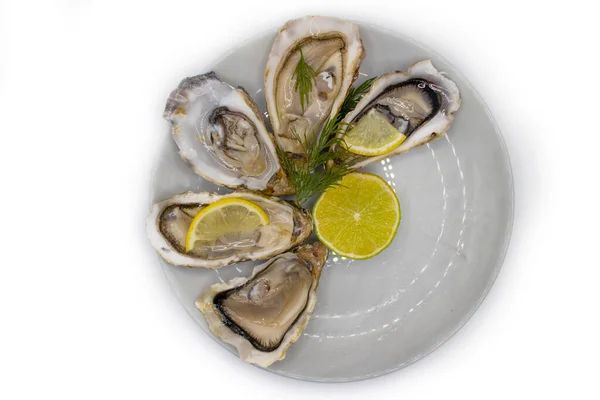 Plate Oysters Lemon Isolated White Background — Stock Photo, Image