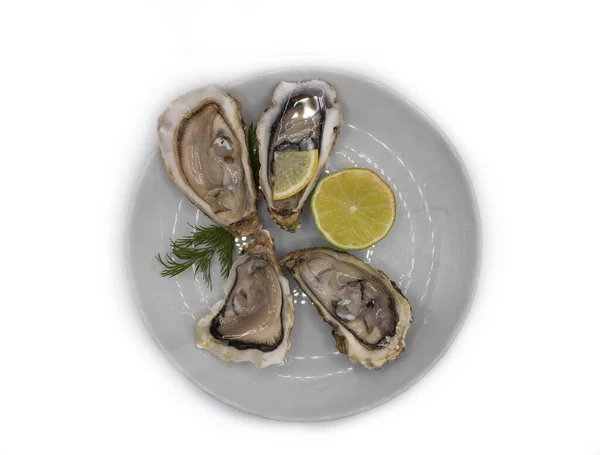 Plate Oysters Lemon Isolated White Background — Stock Photo, Image