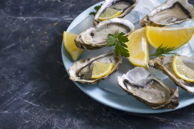 Taze istiridye. Limonlu buz parçaları.