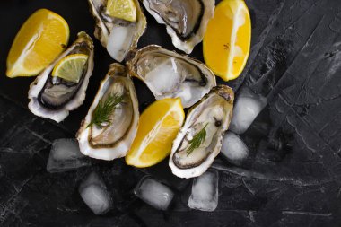 Taze istiridye. Limonlu buz parçaları.