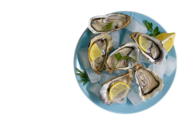 Plate Oysters Lemon Isolated White Background — Stock Photo, Image