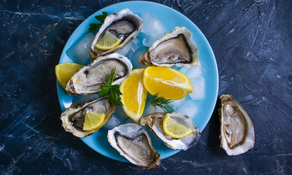 Fresh Oysters Oyster Pieces Lemon Ice — Stock Photo, Image