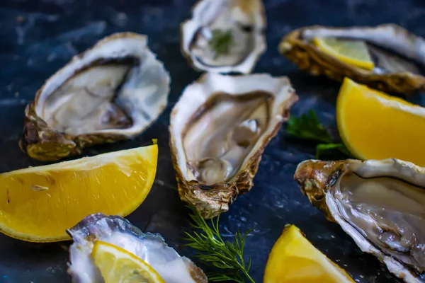 Ostras Frescas Trozos Ostra Limón Hielo — Foto de Stock