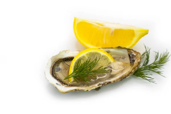 Oyster Lemon Greens Isolated White Background — Stock Photo, Image