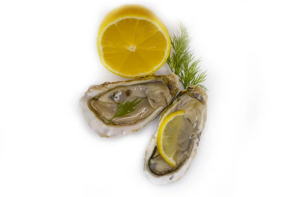 レモンと緑の牡蠣は白い背景に隔離され — ストック写真