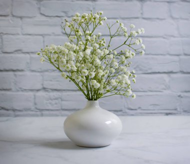 Tuğla bir arka planda vazoda çikila çiçeği