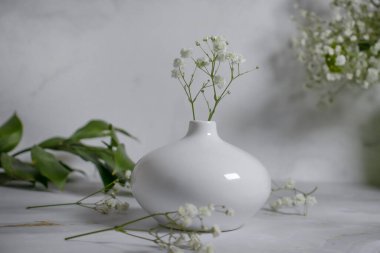 Tuğla bir arka planda vazoda çikila çiçeği