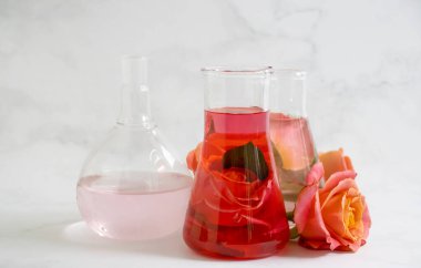 Laboratuvar matarası çiçeği hafif arkaplanda yükseldi