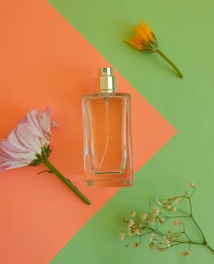 Renkli arka planda parfüm şişesi çiçeği
