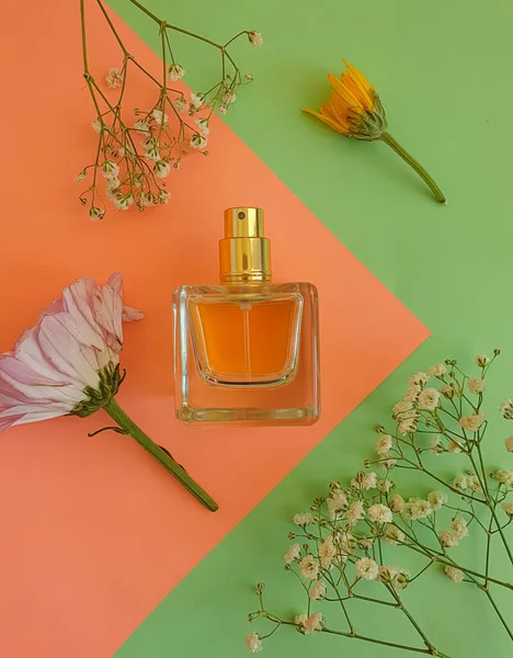 Parfümflasche Blume Auf Farbigem Hintergrund — Stockfoto