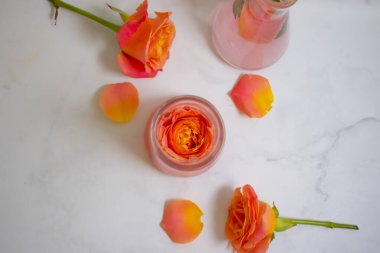 Laboratuvar matarası çiçeği hafif arkaplanda yükseldi