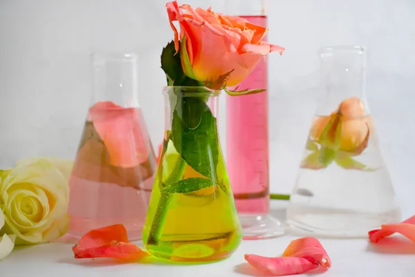 实验室的瓶花在浅色的背景上绽放 — 图库照片