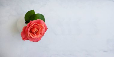 Vazodaki gül çiçeği eski arkaplanda