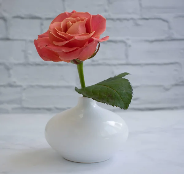 Rose Flower Vase Old Background — Stock Photo, Image