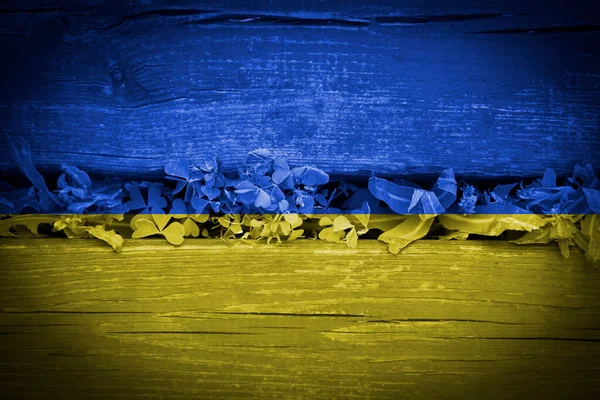 色ウクライナフラグ木製の背景 — ストック写真