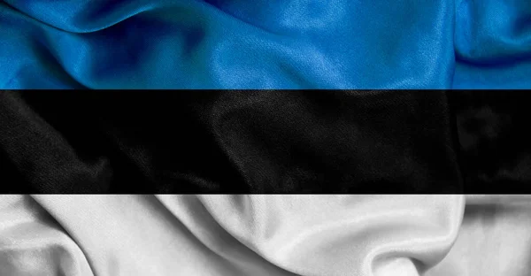 Шовковий Прапор Естонія Фоновий Рух — стокове фото